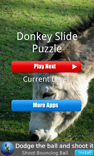 Donkey Slide Puzzle