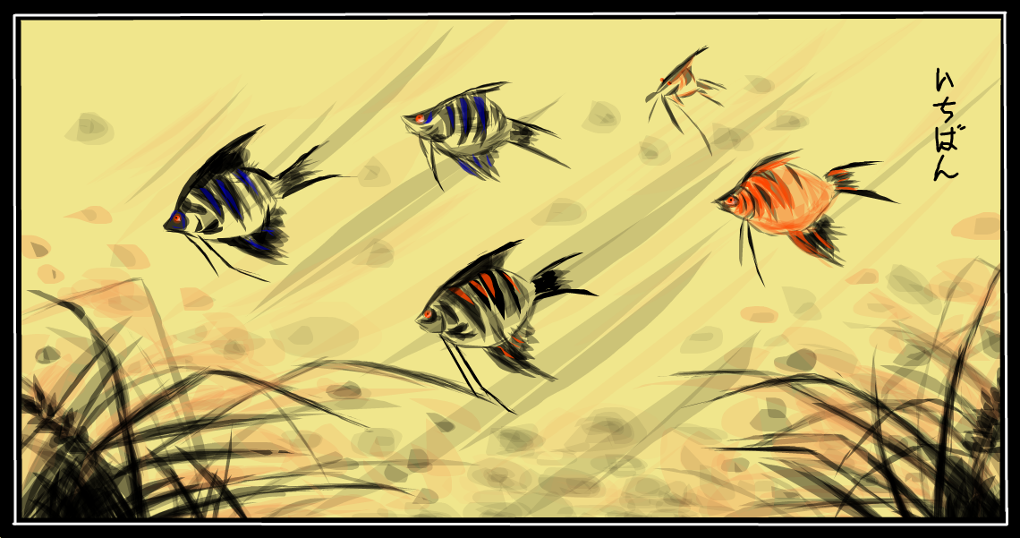 Fish Tank (2)