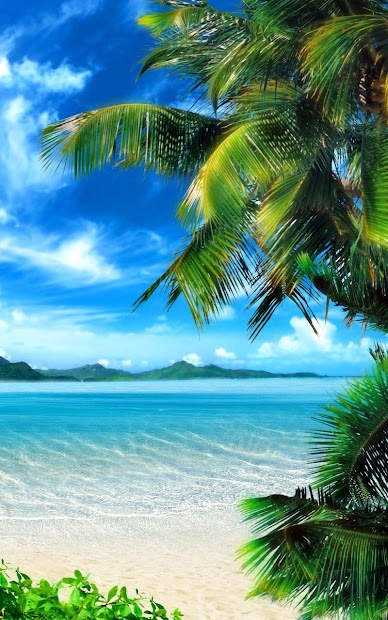 Tropical Beach Live Wallpaper Apps On Google Play