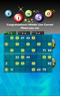 Pocket Bingo Pro