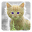 Cat Live Wallpaper Download on Windows