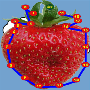 Connect the dots - Collection logo