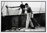 TX34 Sola Gratia. Het vieren van de boomkor