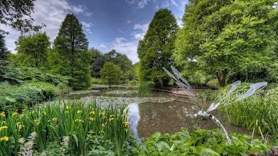 Nature Live Wallpaper Apps On Google Play