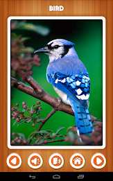 Baby learning Animals (Card) poster 6