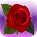 Flower Quiz logo