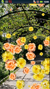 Roses of Rome Live Wallpaper(圖8)-速報App