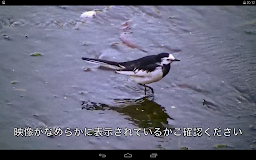 モバイルTV(StationTV)動作確認ツール