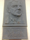 Friedrich Mueller