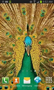 How to install Peacock Live Wallpaper patch 26 apk for laptop