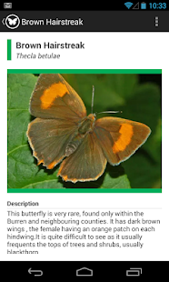 How to download Irish Butterflies 1.0 mod apk for pc