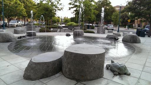 Park Place Turtle and Frog Fountains
