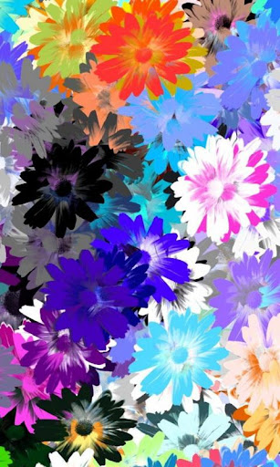 Flower Wallpapers