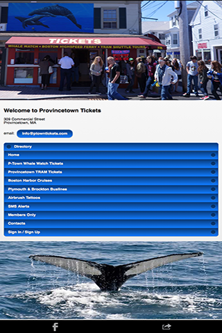 Provincetown Whale Watch