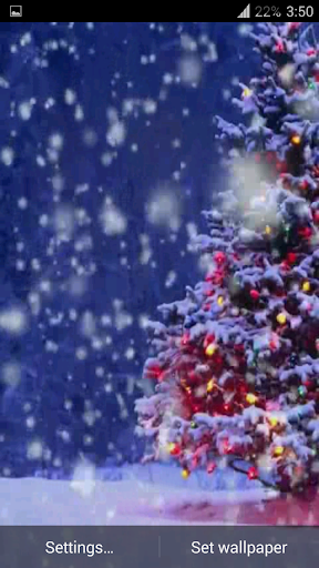 【免費個人化App】Christmas Tree Video Wallpaper-APP點子