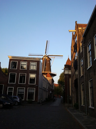 Anno 1800 Windmill