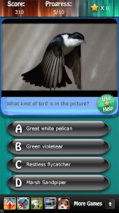 Bird Species Quiz HD Screenshots 7
