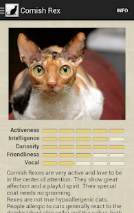 Cat Breeds(圖5)-速報App