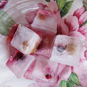 by Doina Arnaut - Food & Drink Alcohol & Drinks
