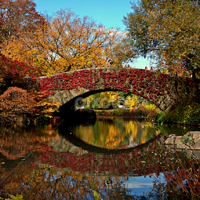 CENTRAL PARK, NYC by Jose De La Cruz - City,  Street & Park Vistas