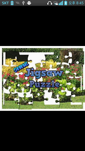 Jigsaw Puzzle : Full version