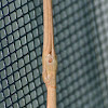 Stick bug (male)