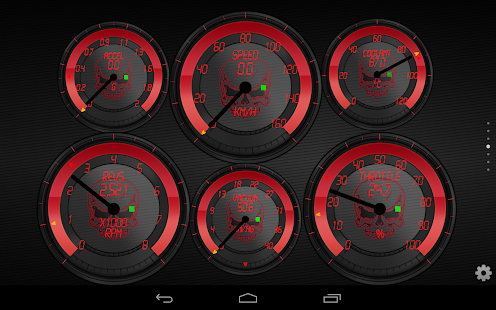 SkullZ Torque Theme OBD 2