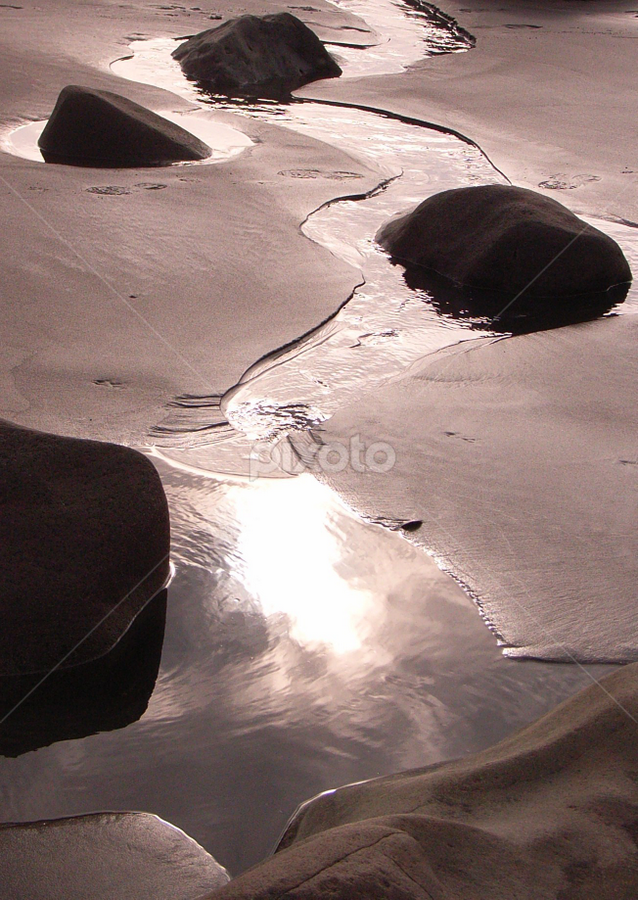 Water wending by Kirsten Gamby - Nature Up Close Water