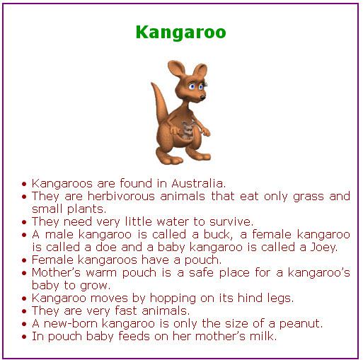 GRADE-1-ENGLISH-COMPREHENSION Screen 1