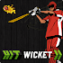 Hit Wicket Cricket 2018 - World Cup League Game7.0.1 World Cup 2018