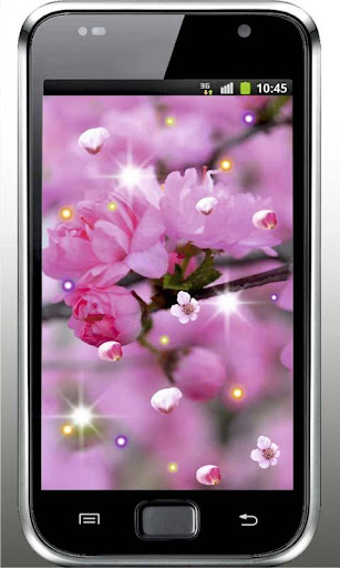 Best Sakura HD live wallpaper