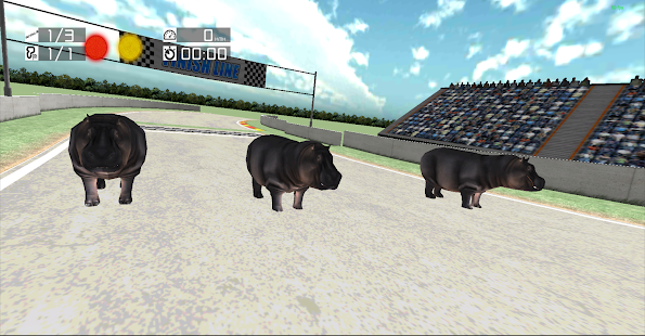 Free Animal Racing : Hippo APK for Android