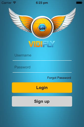 vidifly