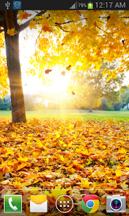 Free Maple Leaf Live Wallpaper FREE APK for Android