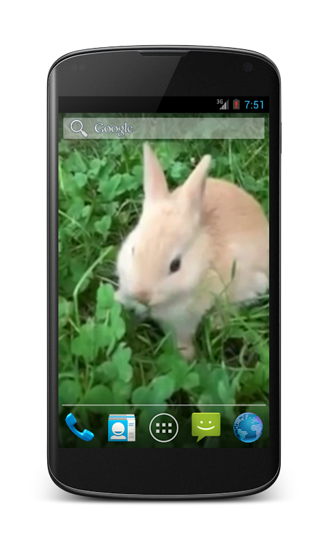 Bunny Free Video Wallpaperのおすすめ画像1