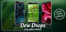 Dew Drops Live Wallpaper APK