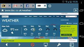 MiniBrowser PRO