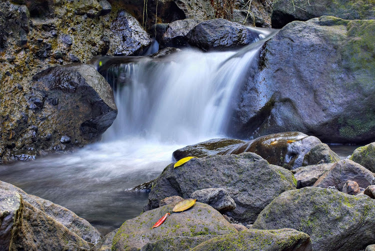 Rivière du Grand Carbet, at one of the Carbet Waterfalls, Guadeloupe.