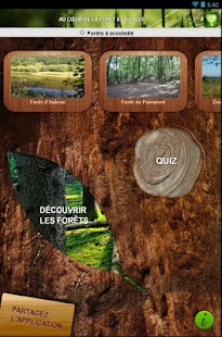Bois Forêt Screenshots 6