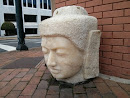 The Buddha Head  