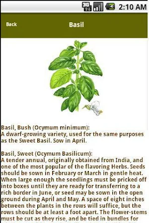 The Herb Grower's Handbook v1.4