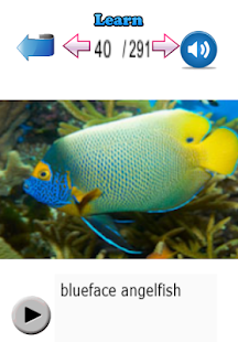 Learn Fish Names Screenshots 16