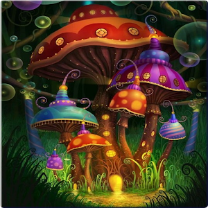 Forest HD Wallpaper 1.0