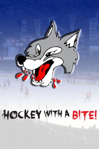 Sudbury Wolves