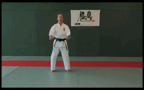 Kyokushin - Stances & Moves(圖4)-速報App