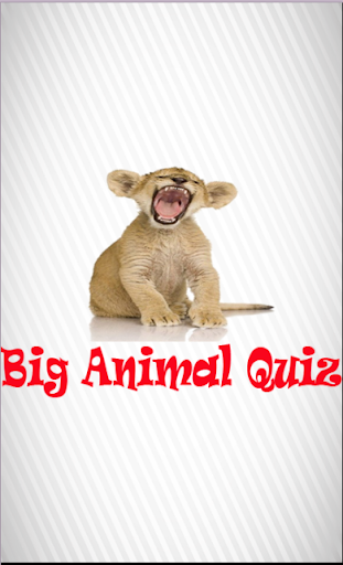 Big Animal Quiz