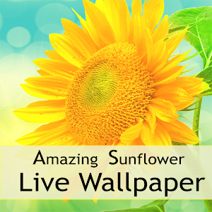 Amazing Sunflower LWP 1.0