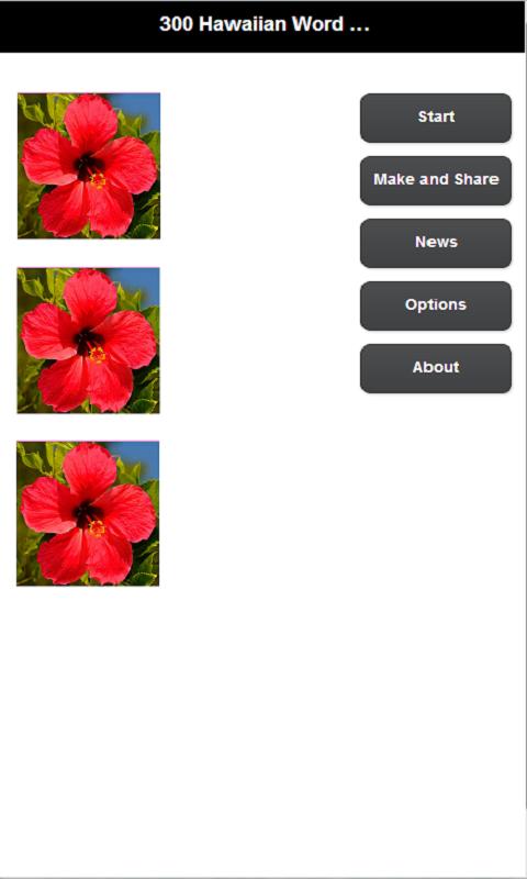 300 Hawaiian Word Dict &amp; Quiz Screen 2