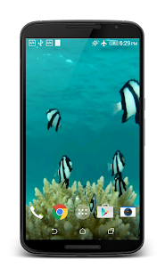 How to mod Fish HD Live Wallpaper 3.0 unlimited apk for laptop