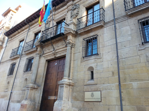 Instituto De Estudios Asturianos